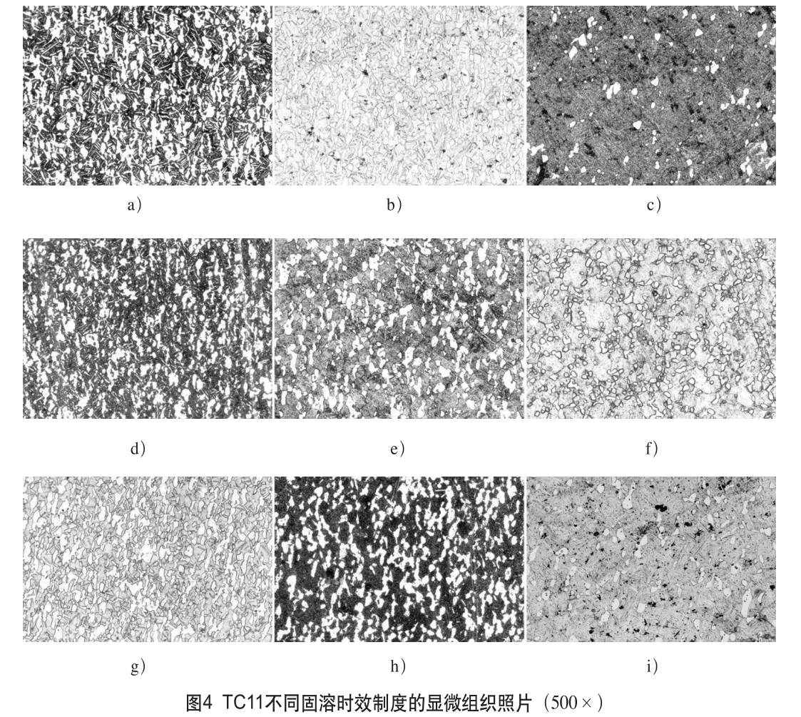 1648217456255342.jpg t4.jpg