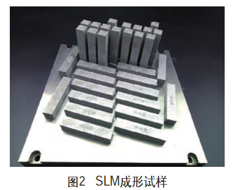 1672477168492240.jpg t2.jpg