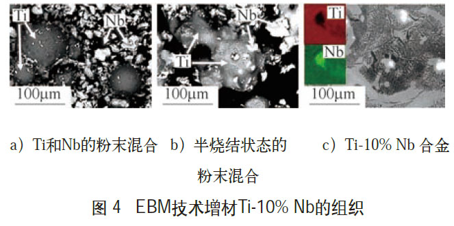 1672477195559456.jpg t4.jpg