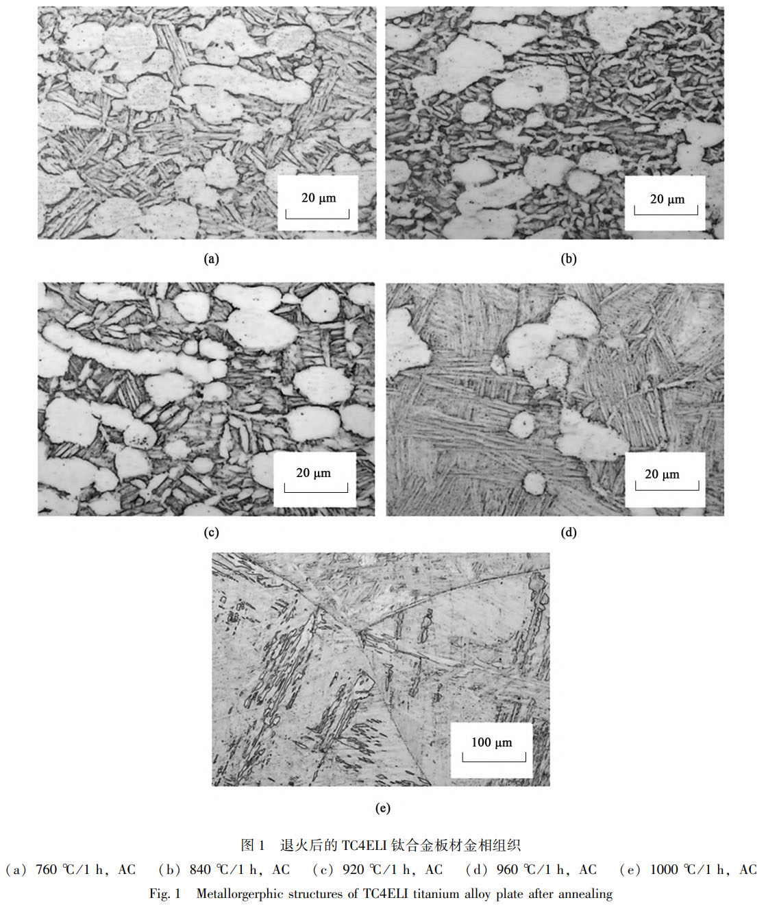 1759499486997519.jpg 未標題-1.jpg