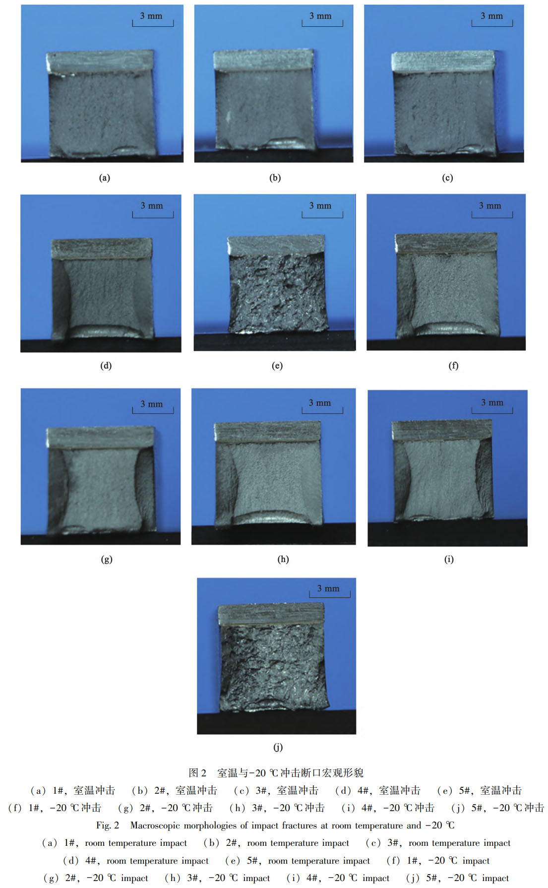 1759499664106331.jpg 未標題-2.jpg