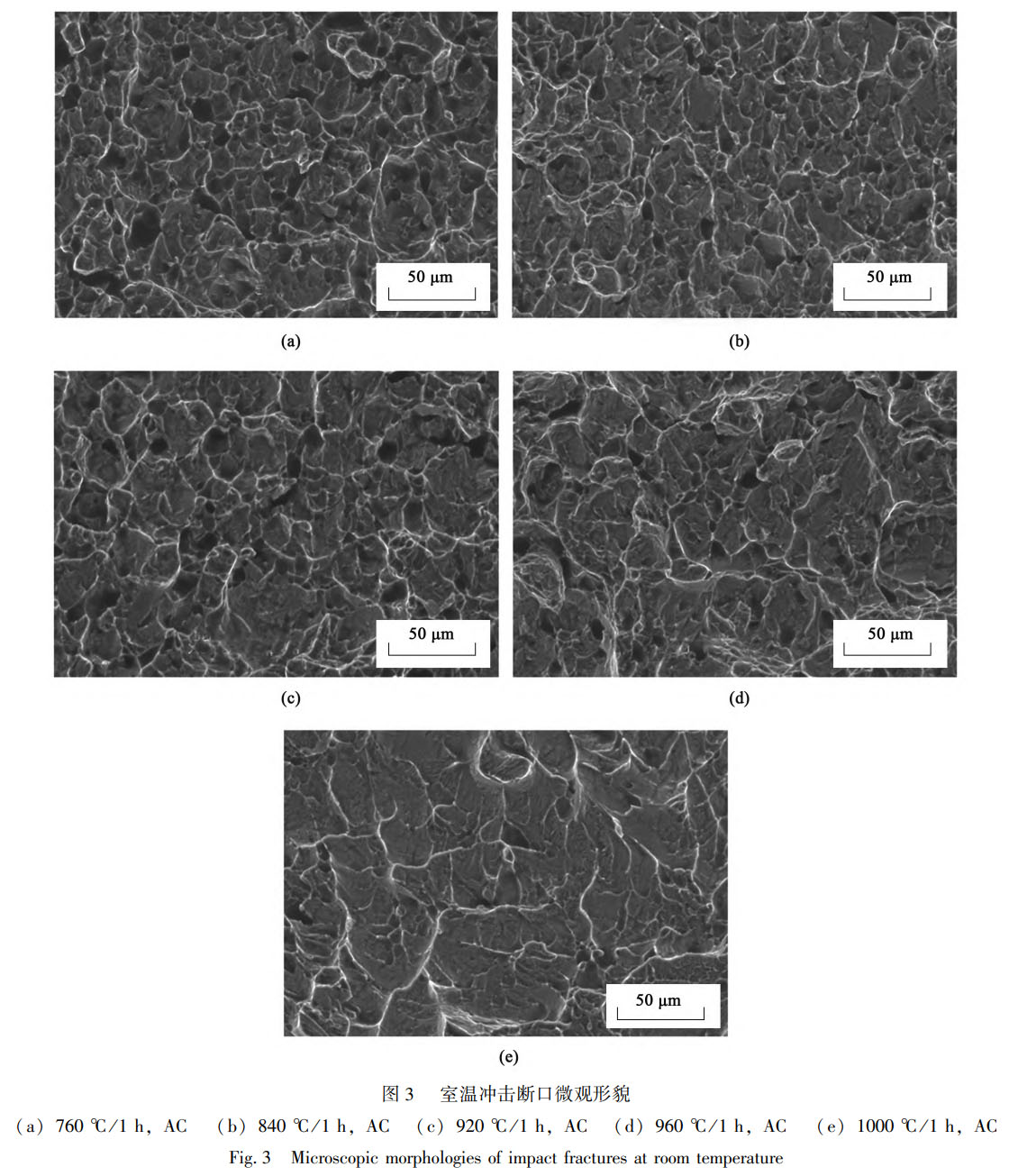 1759499675110355.jpg 未標題-3.jpg