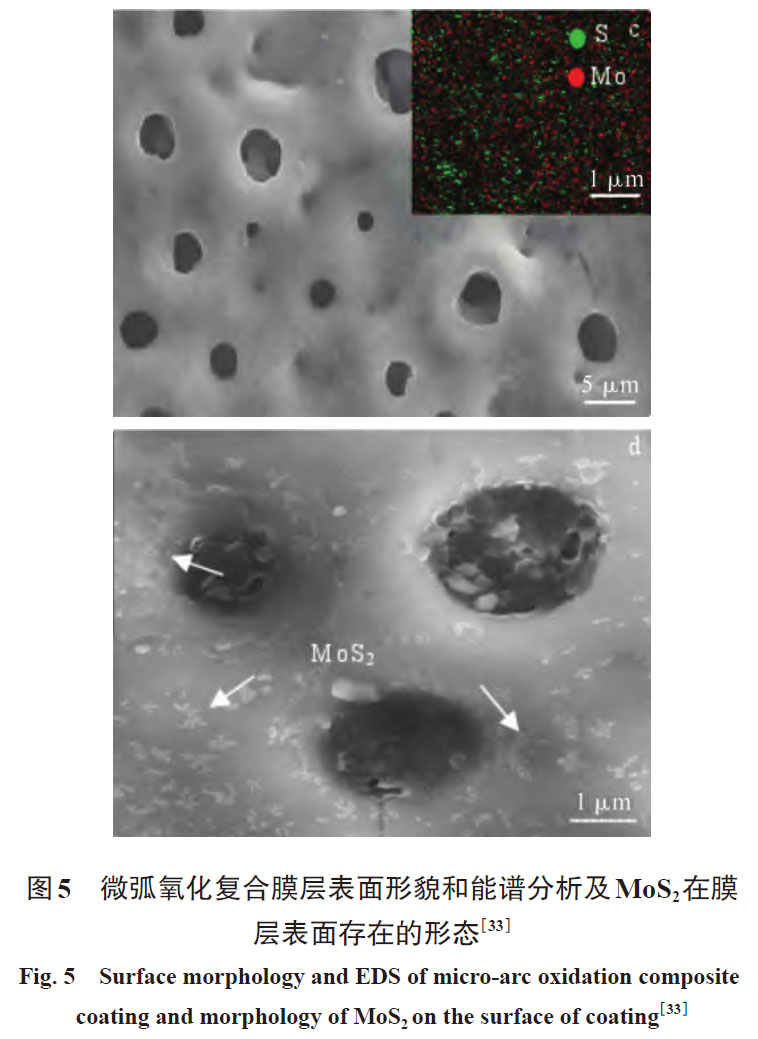 1672534018513067.jpg t5.jpg