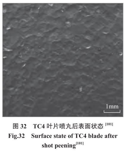 1692266213743105.jpg t32.jpg