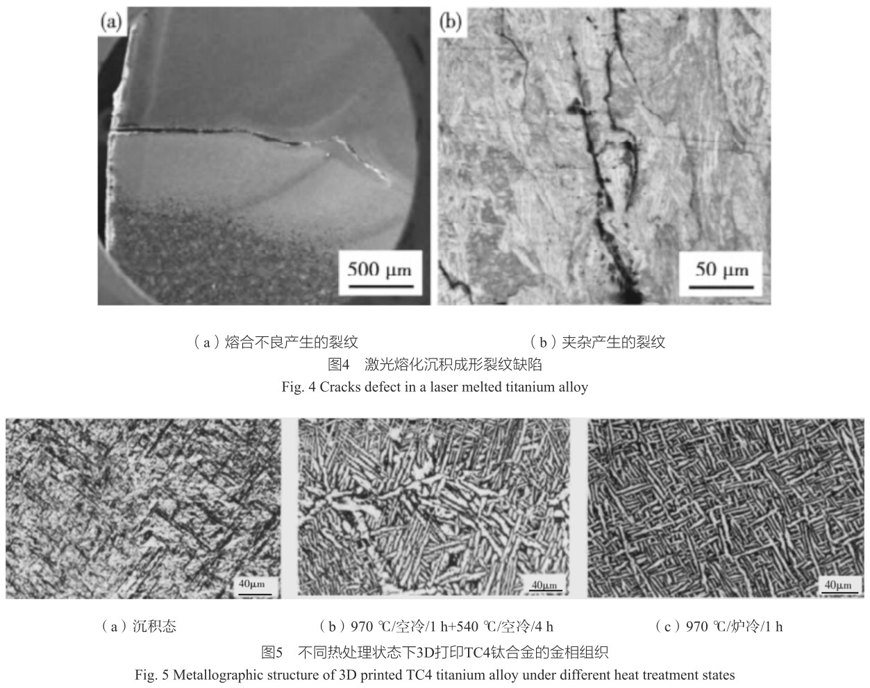 1701072996818825.jpg t4-5.jpg