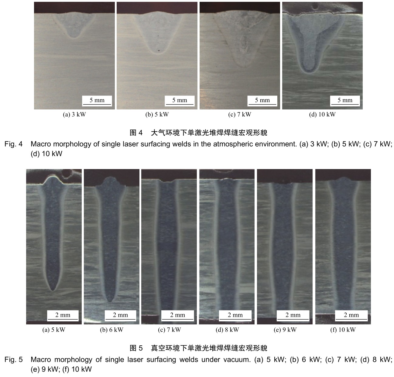 1701523129854377.jpg t4-5.jpg