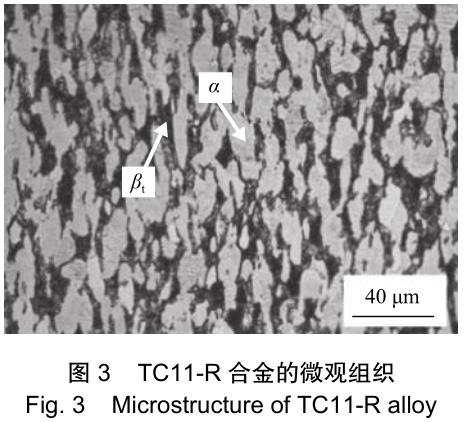 1701651368399530.jpg t3.jpg