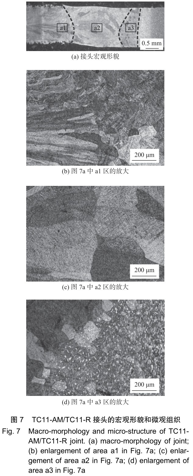 1701651401399589.jpg t7.jpg