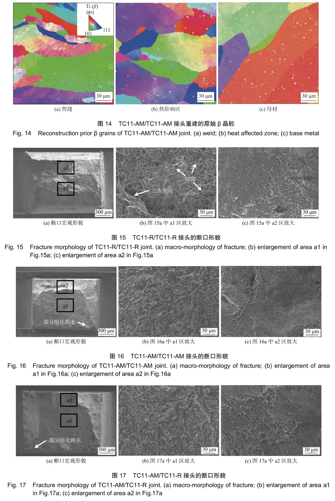 1701651881848378.jpg t14-17.jpg