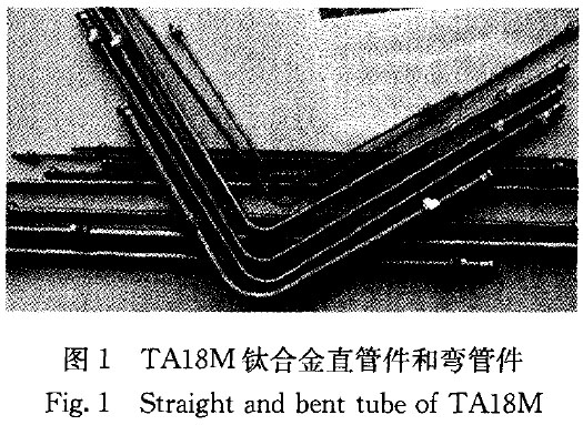 1685003911934455.jpg t1.jpg