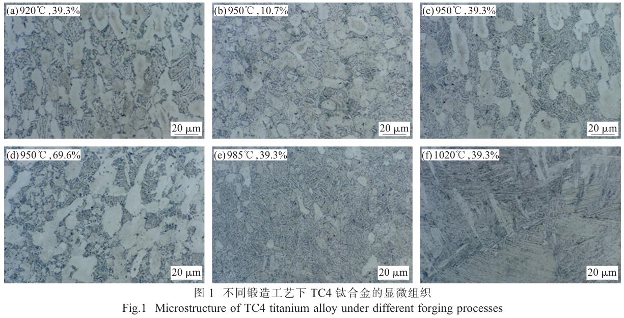 1708270031903130.jpg t1.jpg