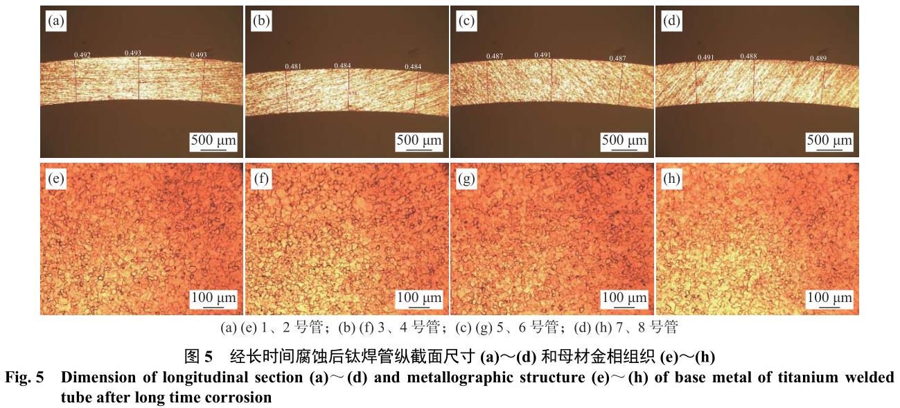 1710322507780561.jpg t5.jpg
