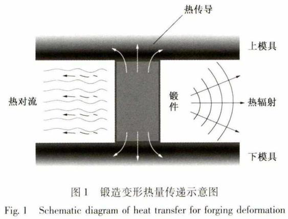 1700483469599022.jpg t1.jpg