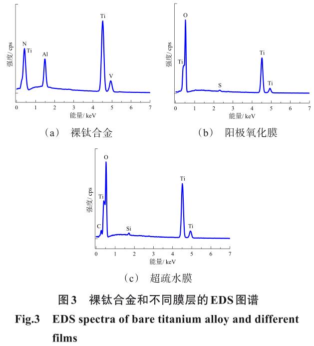 1717899235251563.jpg 360截圖16501102105131114.jpg