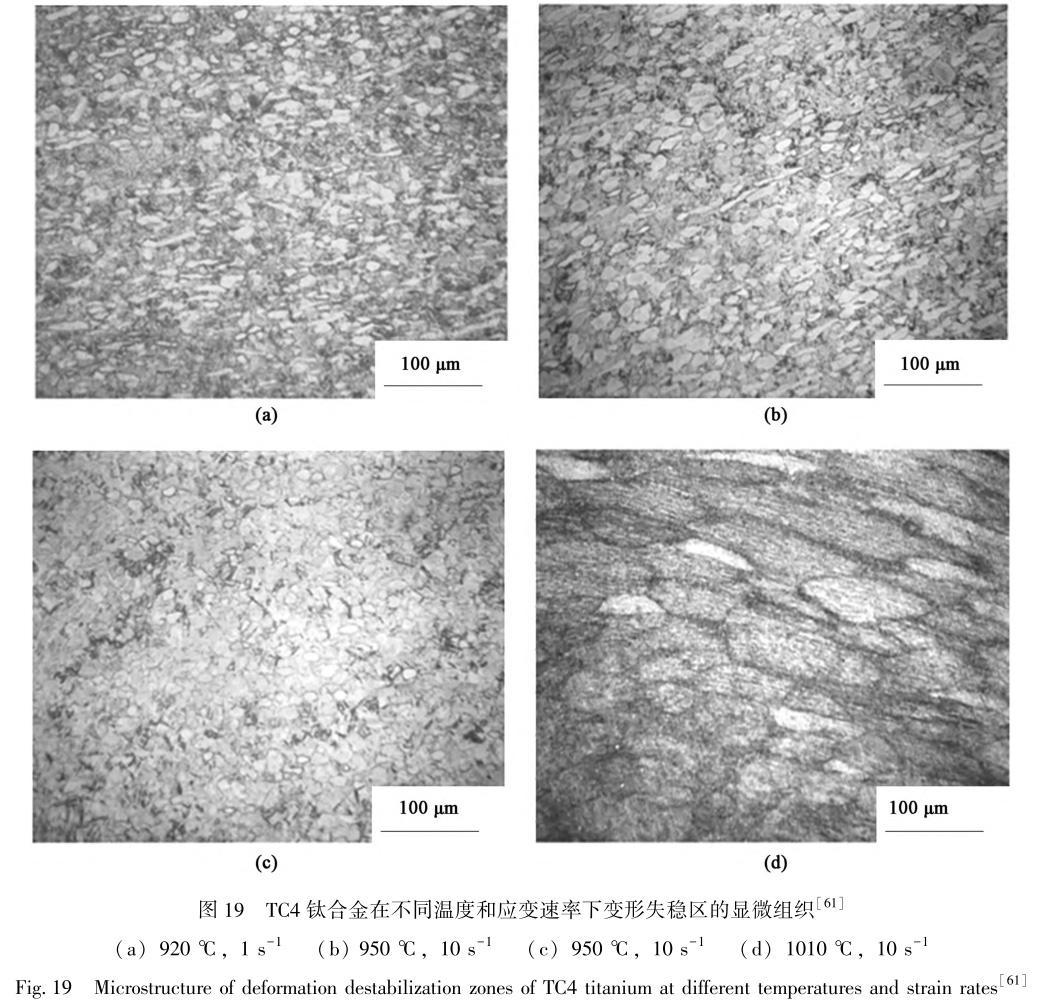 1729324485488641.jpg t19.jpg