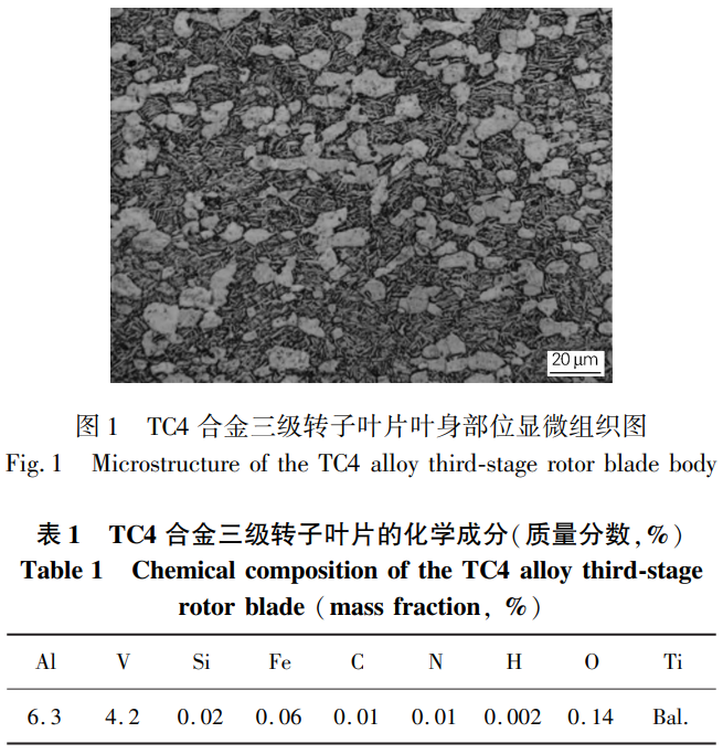 1731314944862949.png t1-b1.png