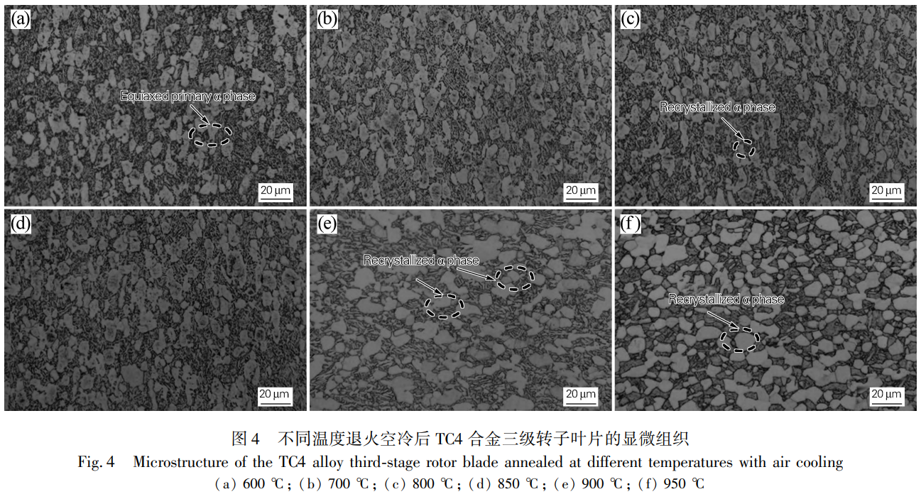 1731315021481227.png 4.png