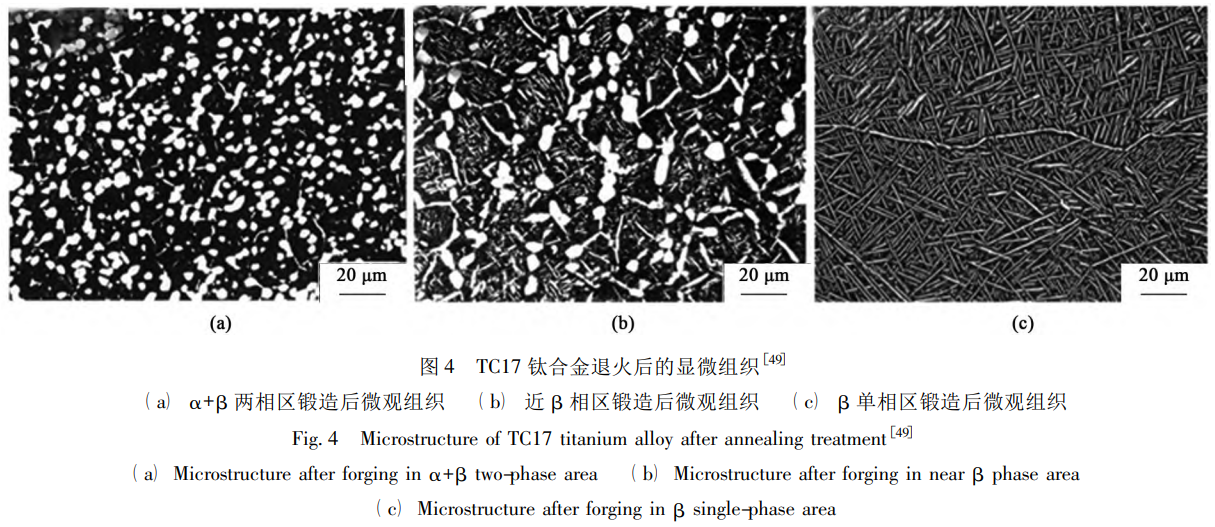 1734183828886231.png 4.png