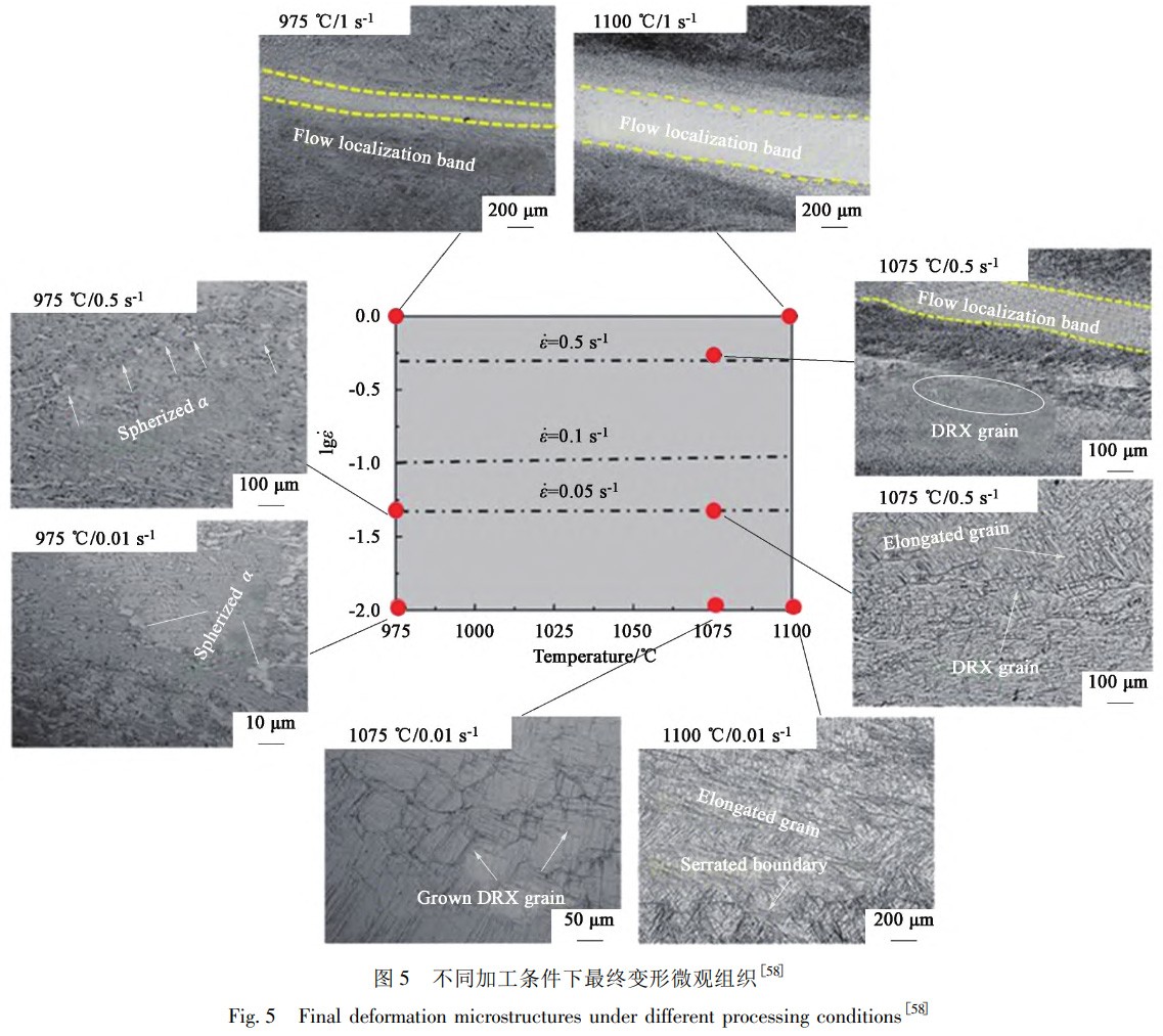 1734183837590036.jpg 5.jpg