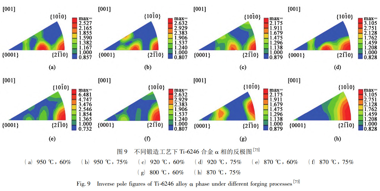 1734183876686757.jpg 9.jpg