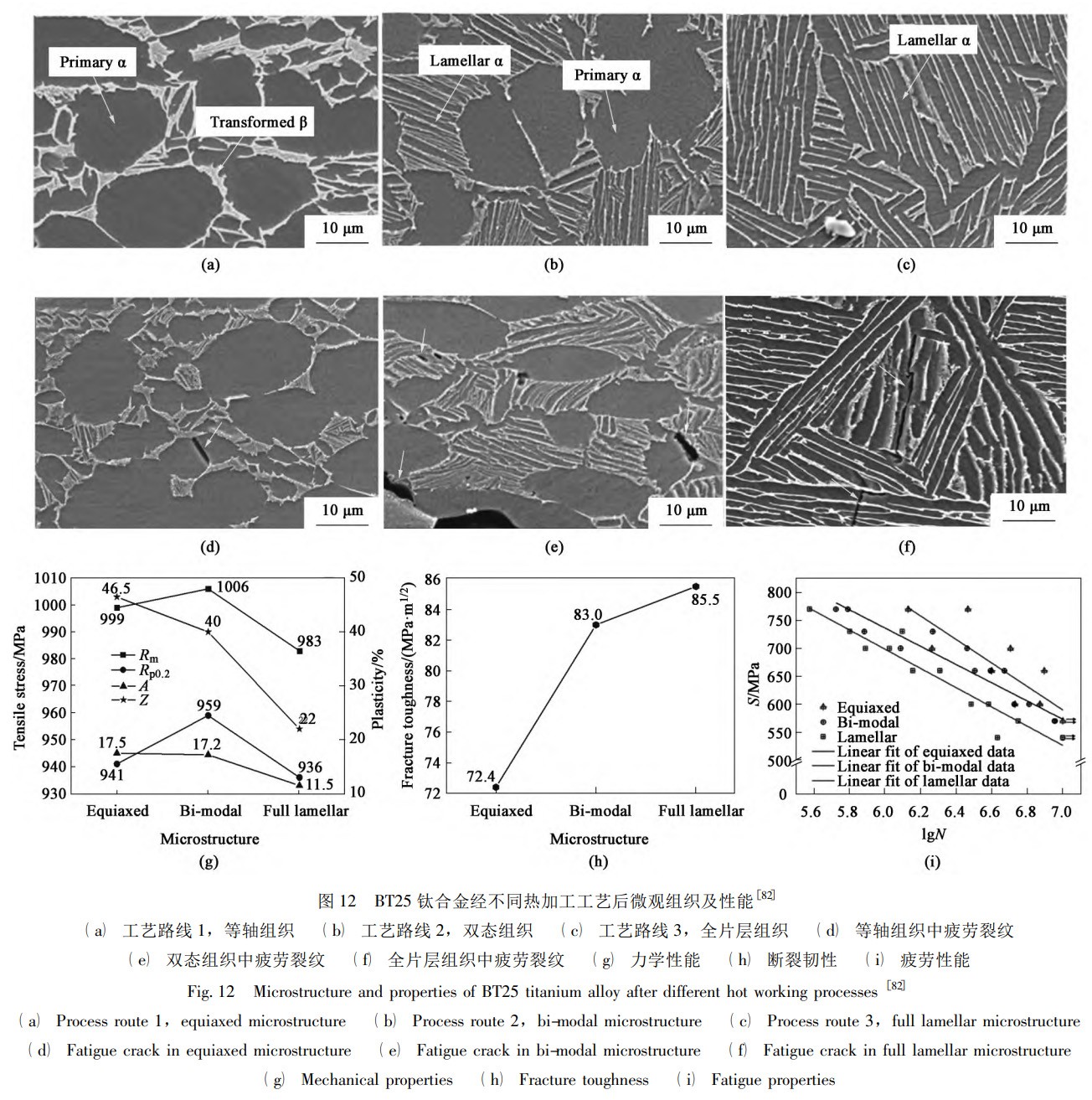 1734183928802861.jpg 120.jpg