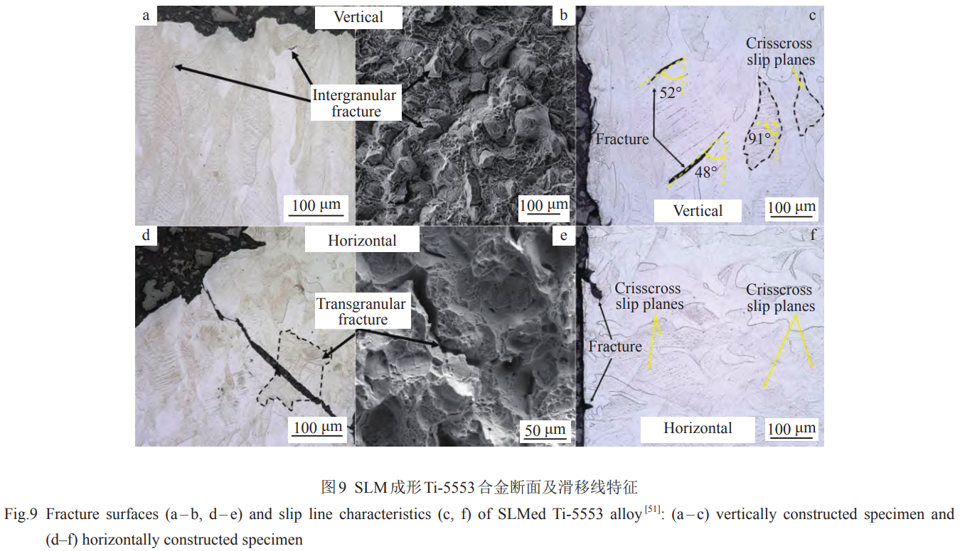 1739183053602244.png 截圖20250210175908.png