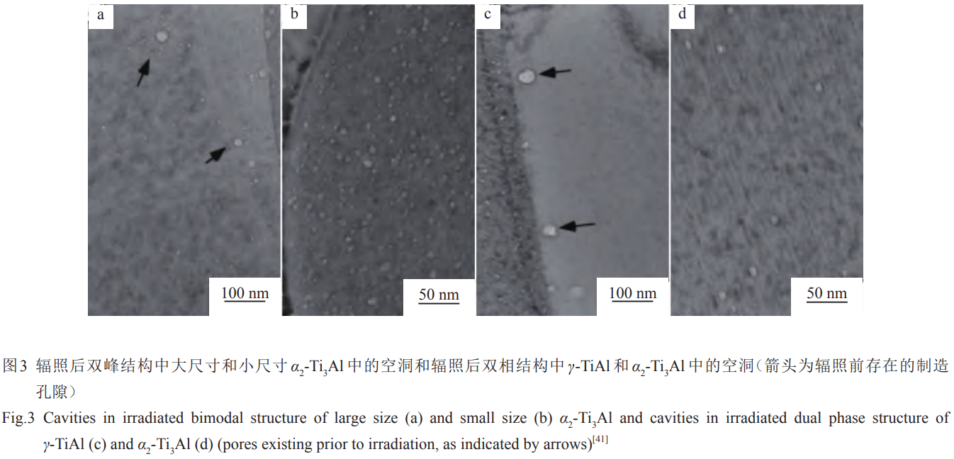 1739191706596101.png 截圖20250210203906.png