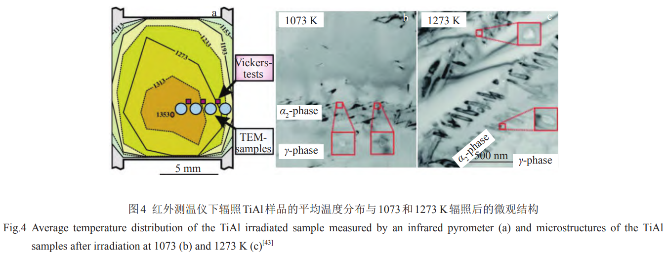 1739191719932010.png 截圖20250210203943.png