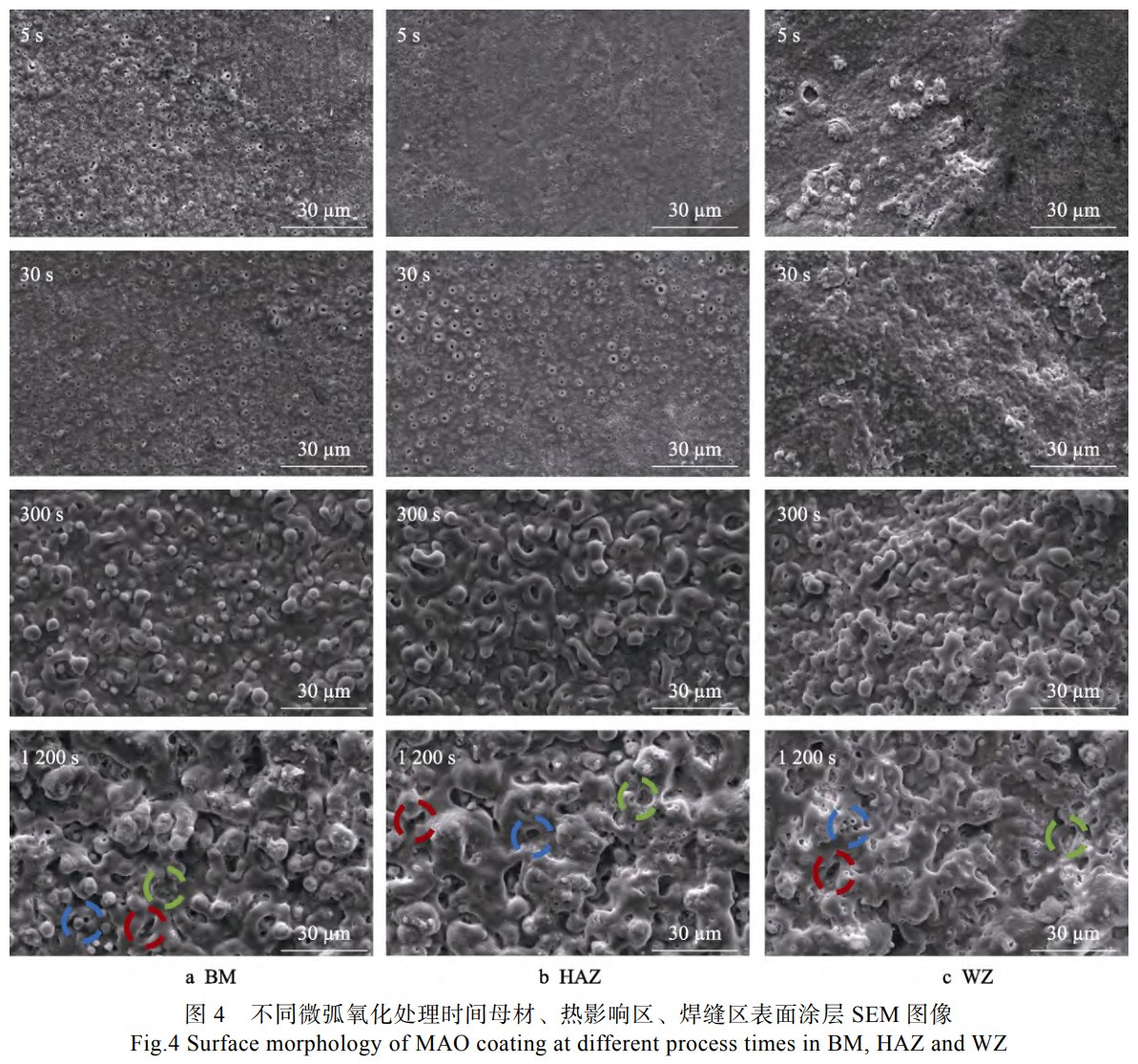 1739950752782197.jpg 4.jpg