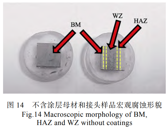 1739950889840035.png 截圖20250219153621.png