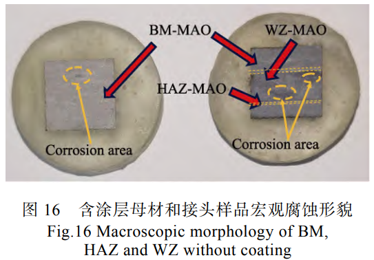 1739950904116044.png 截圖20250219153651.png