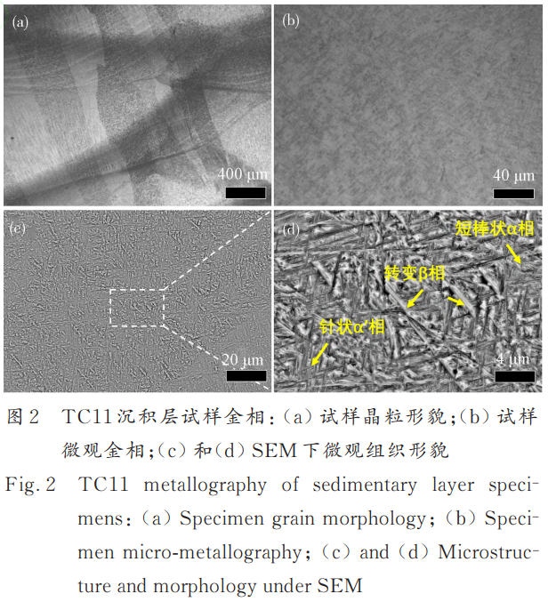 1746439883555109.png 截圖20250505180716.png