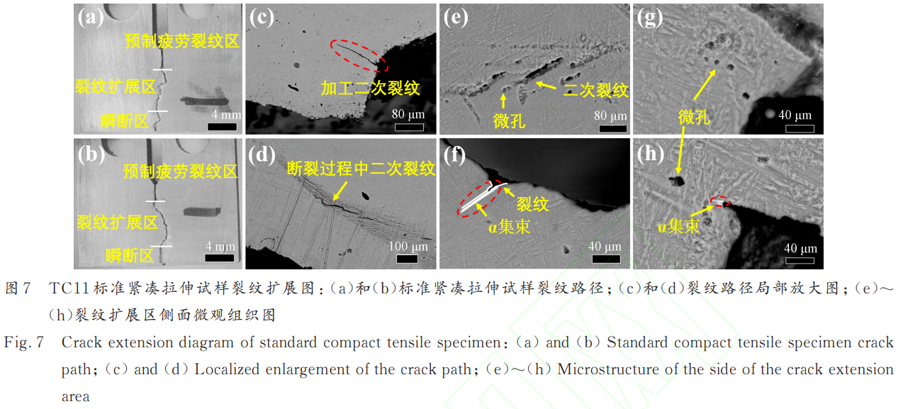 1746439996228756.png 截圖20250505181005.png