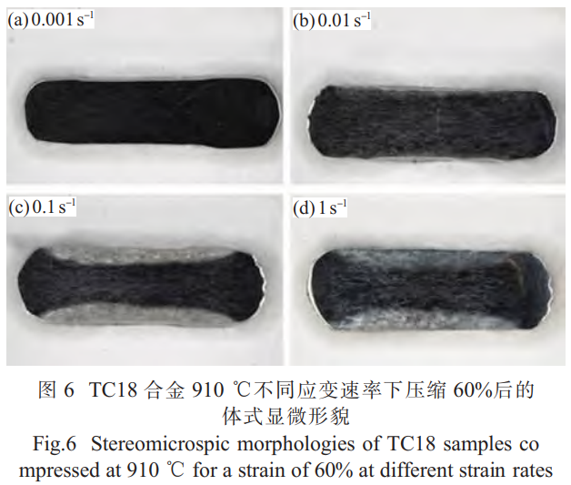 1746451425374462.png 截圖20250505212031.png