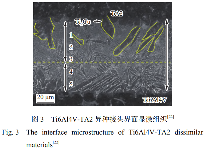 1746502589518102.png 3.png