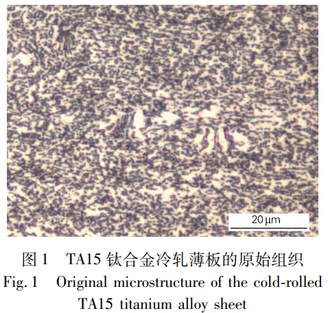 1746670525933402.png 1.png