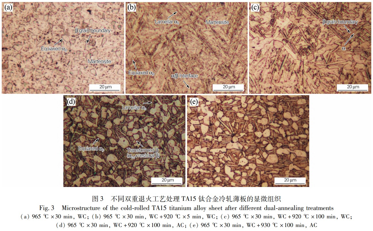 1746670572430619.jpg 5645645.jpg