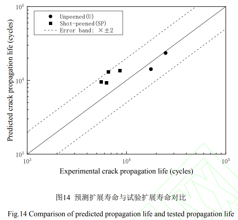 1747020459772162.jpg 14.jpg