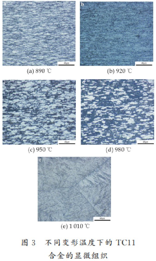 1747053263223980.jpg 3.jpg