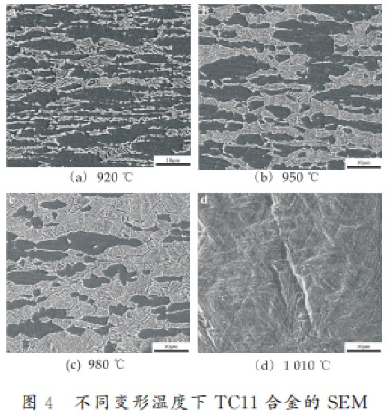 1747053275949797.jpg 4.jpg