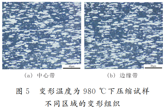 1747053286587685.jpg 5.jpg