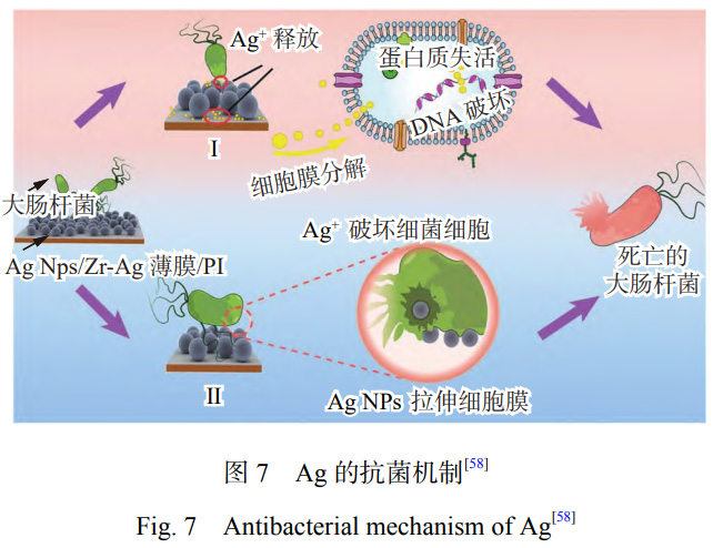 1739288384709578.jpg 7.jpg