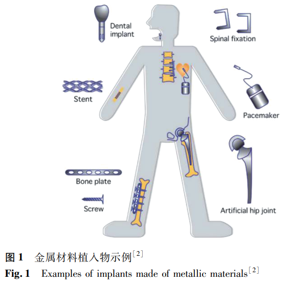 1754787572825865.png 截圖20250810084951.png