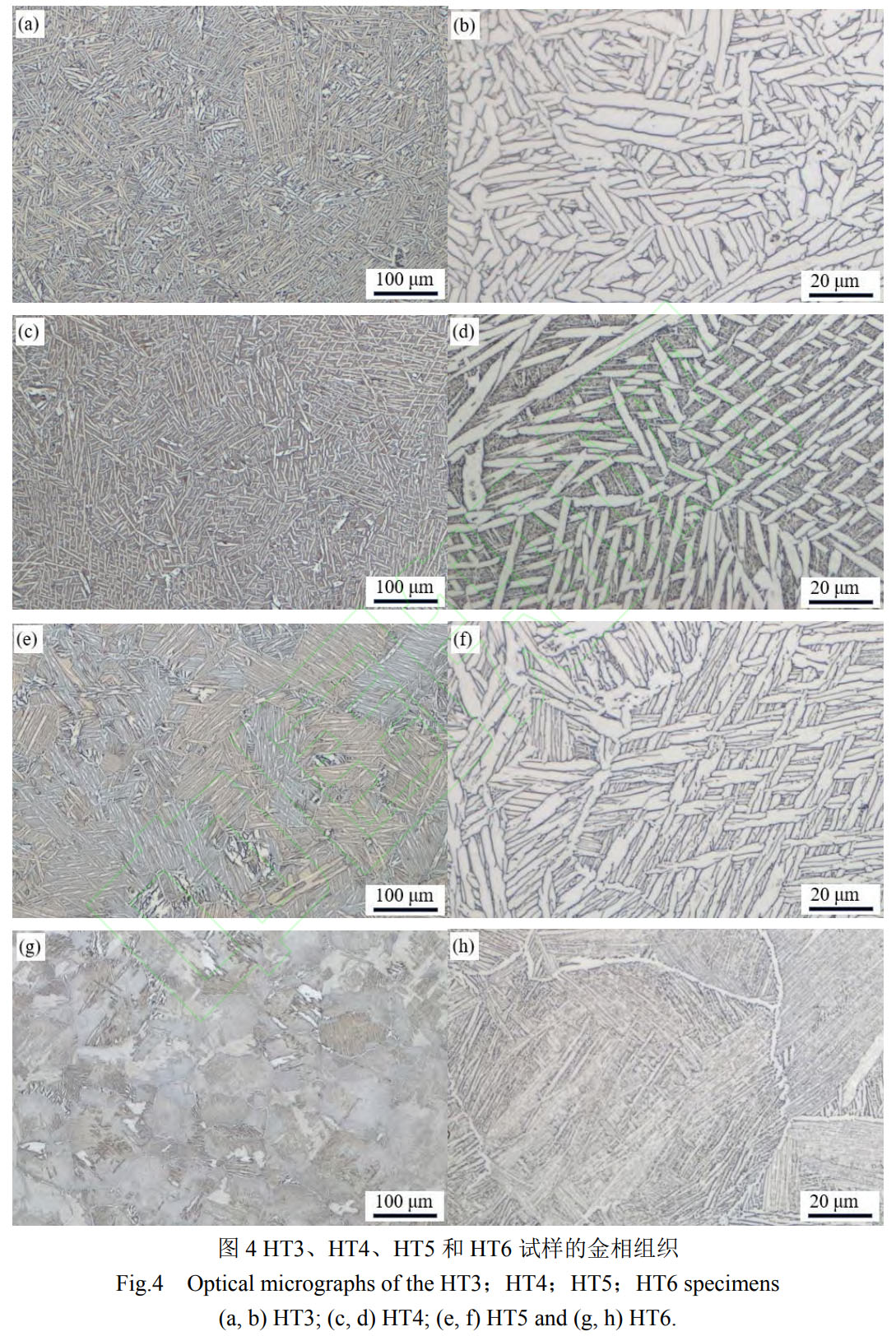 1759400514246959.jpg 未標(biāo)題-6.jpg