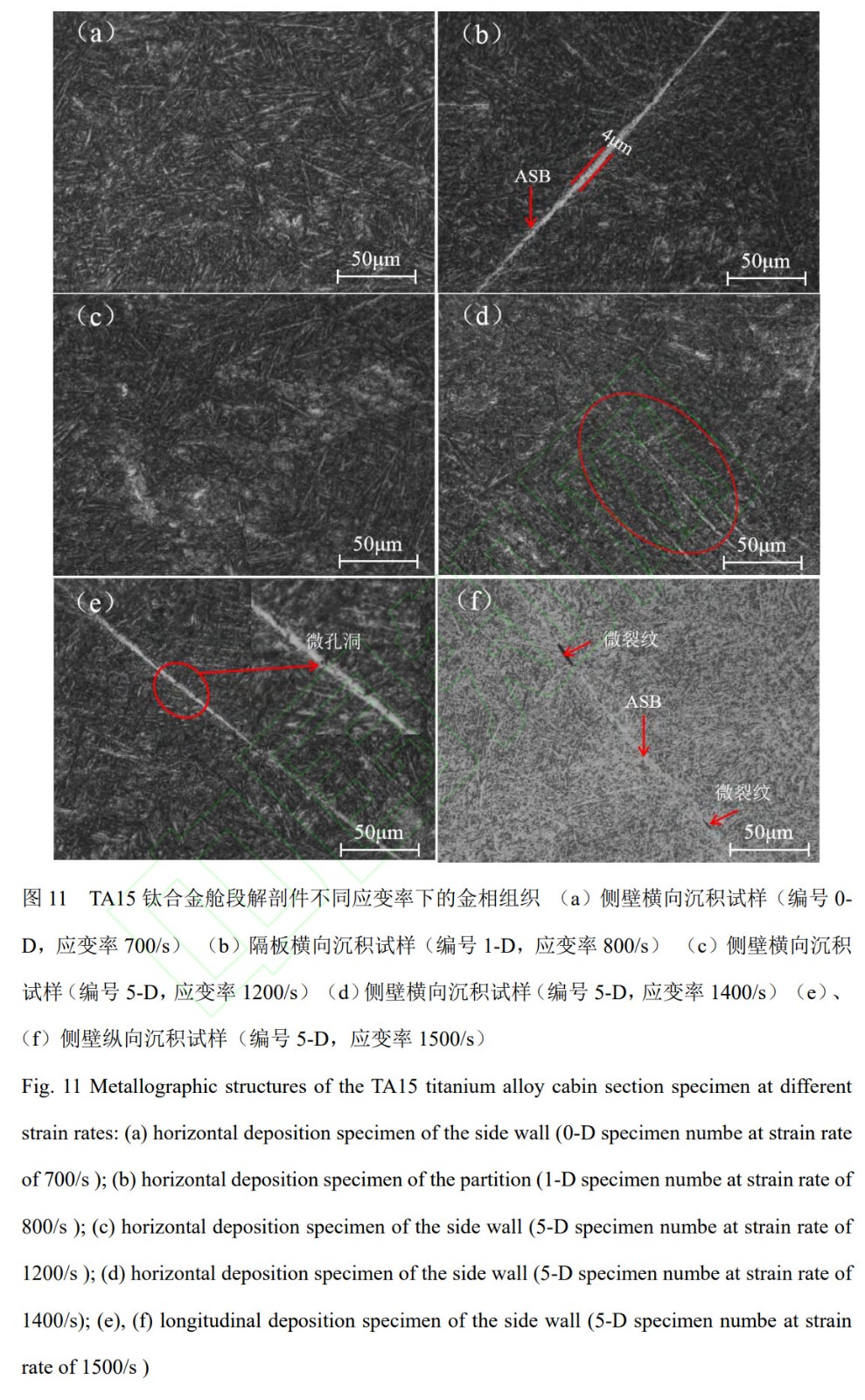 1759674690177635.jpg 未標(biāo)題-3.jpg