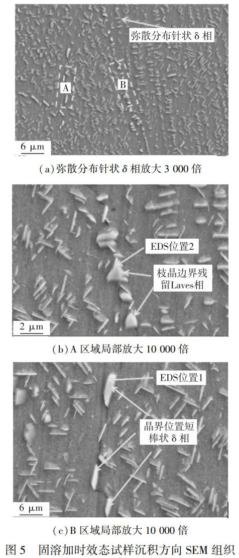 1759975186129486.jpg 未標(biāo)題-5.jpg