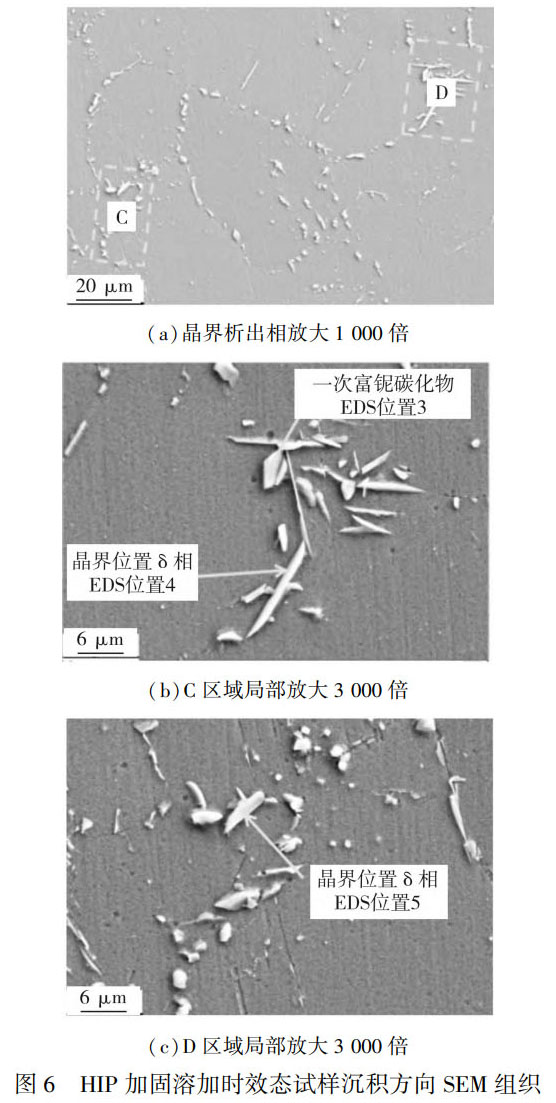 1759975199474124.jpg 未標(biāo)題-6.jpg