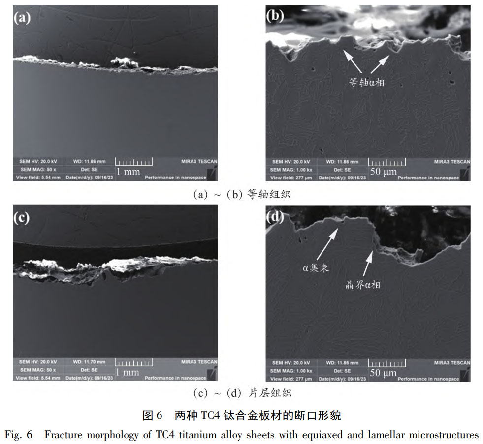 1759977071368309.jpg 未標題-4.jpg
