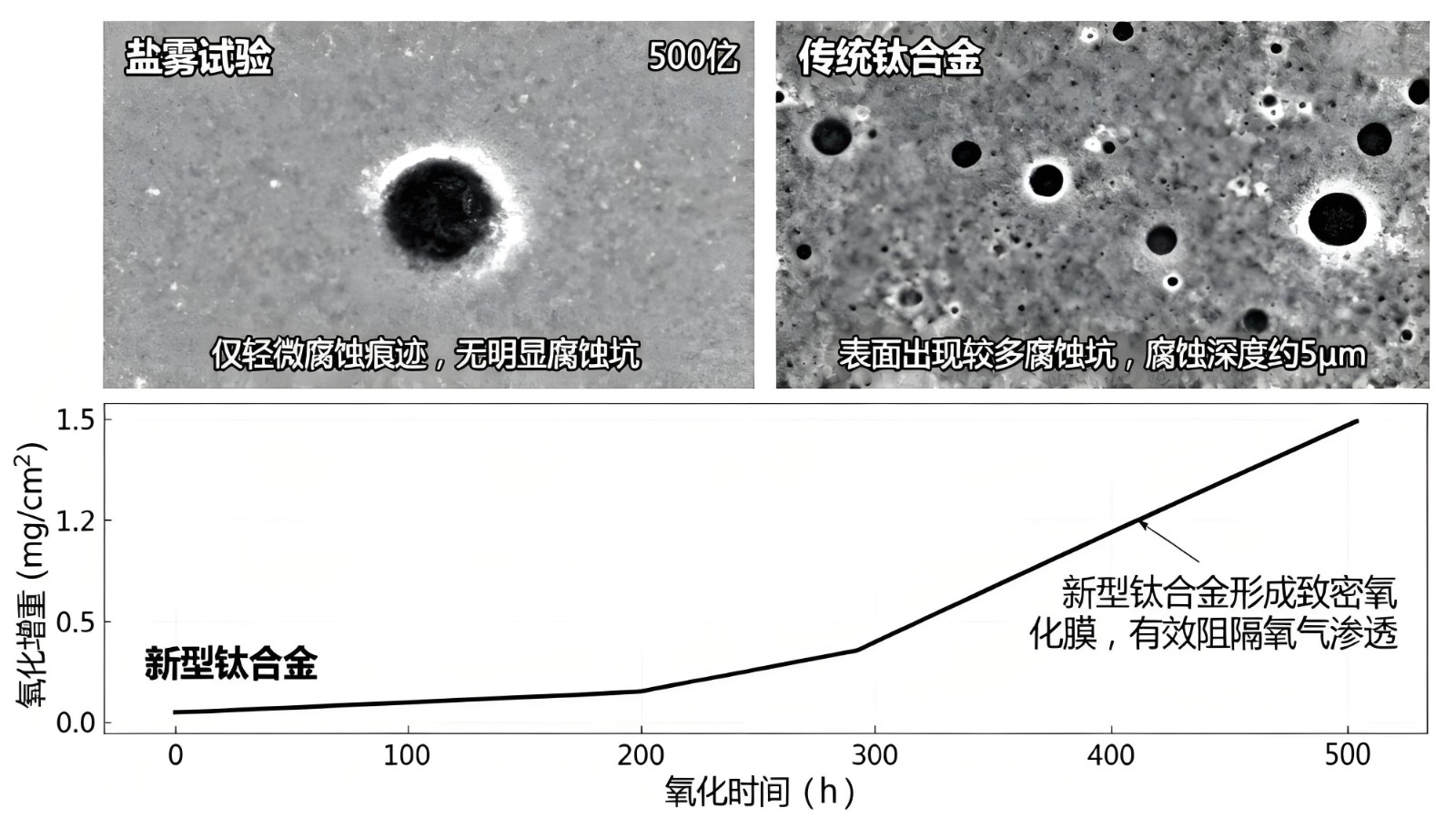 1761049006145533.jpg 5.jpg