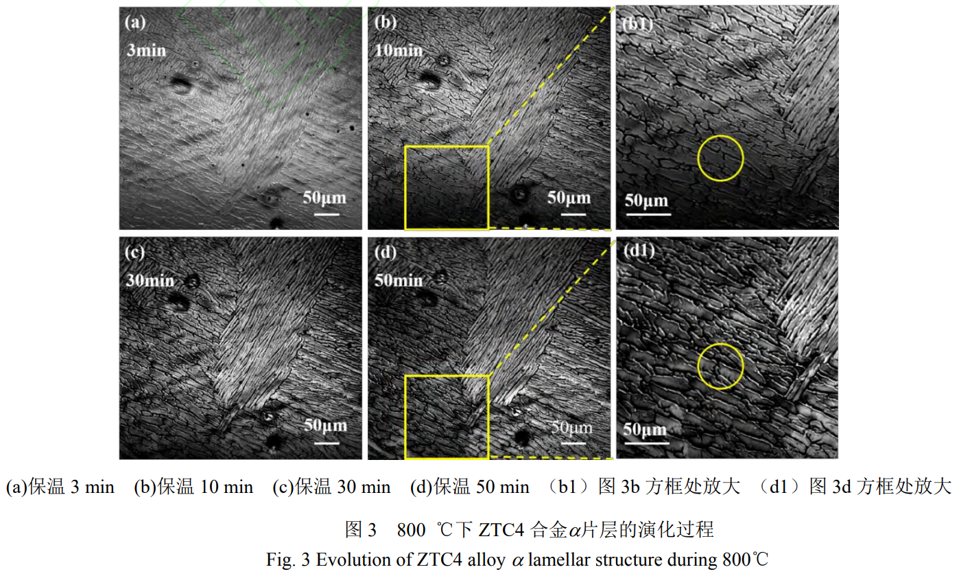 1764495319969118.png 截圖20251130172733.png